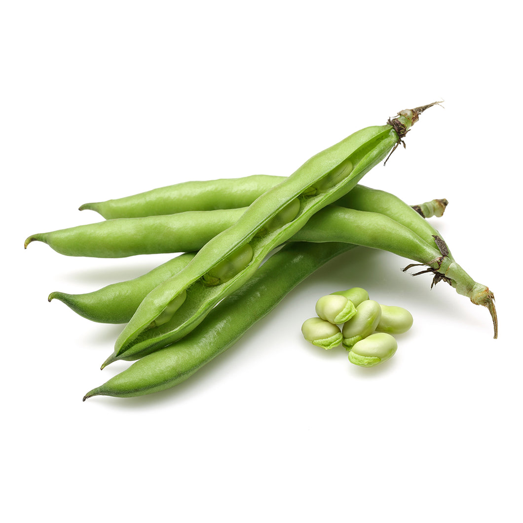 Broad Beans 400g