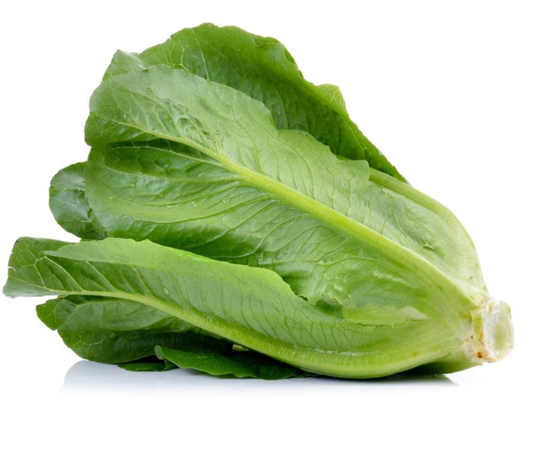Lettuce Cos Green