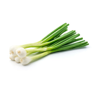 Spring Onion White