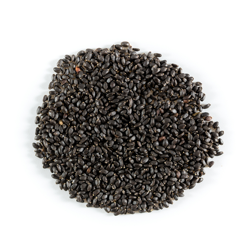 Basil Seeds 100g Nomaste