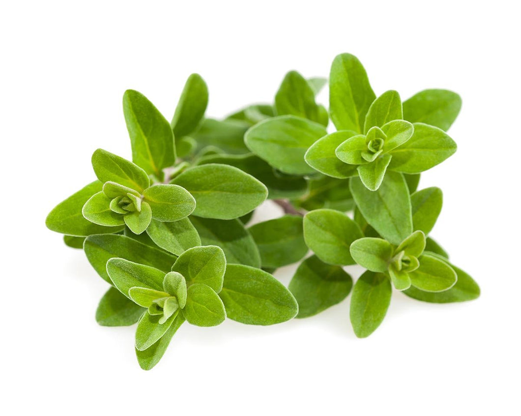 Marjoram 40g