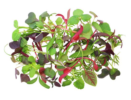 Microgreens