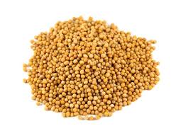 Yellow Mustard Seeds 100g
